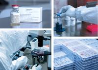 Collage of lab images showing the team working on blood samples from COVID-19 patients.